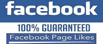Get Free Facebook Likes, Followers, Shares And Comments!